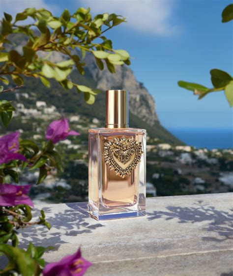 dolce & gabbana taschen|dolce perfume.